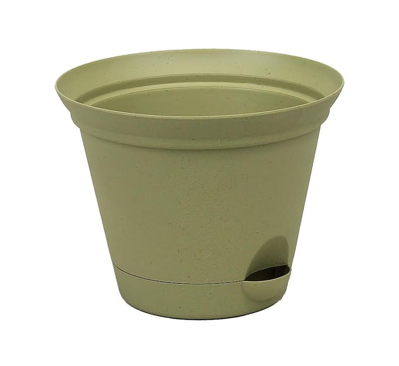 plant self watering globes Self Watering Plant Globes main image 1