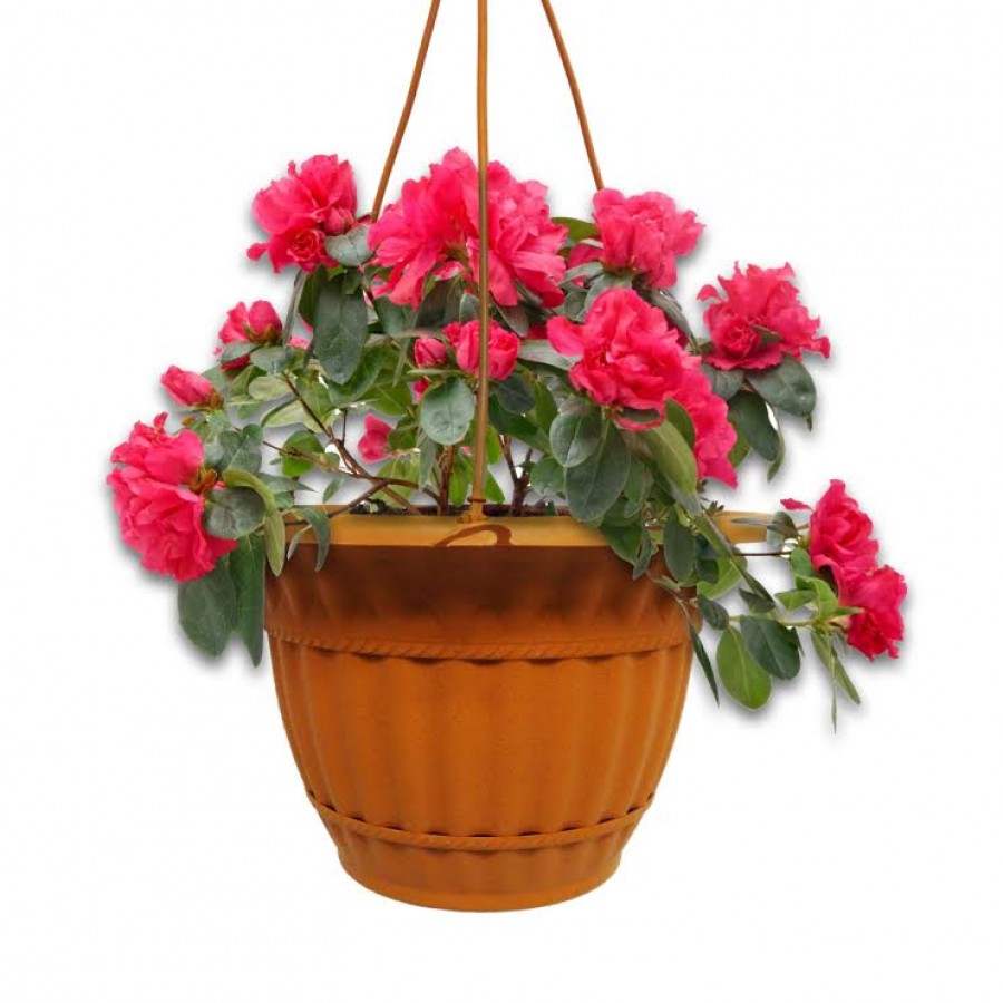10.6" Milano Hanging Planter