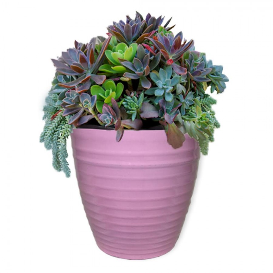 11.9” Wave Planter