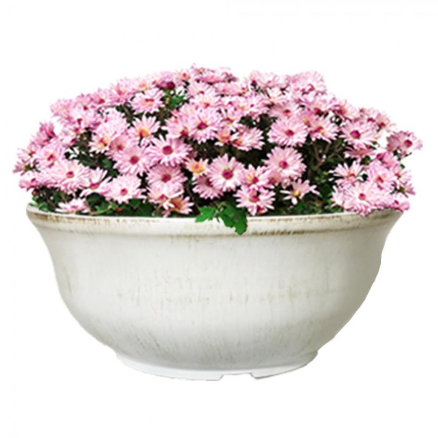 13.4" Brushed Garden Bowl Planter