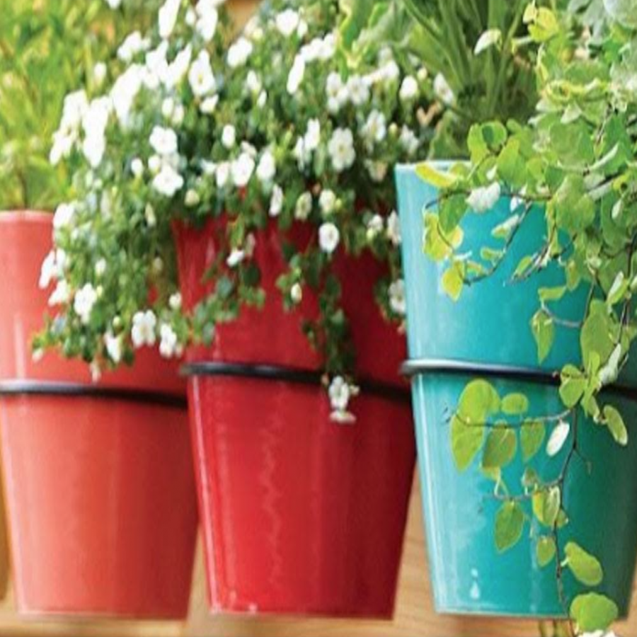 7.5” Plant Holder Ring